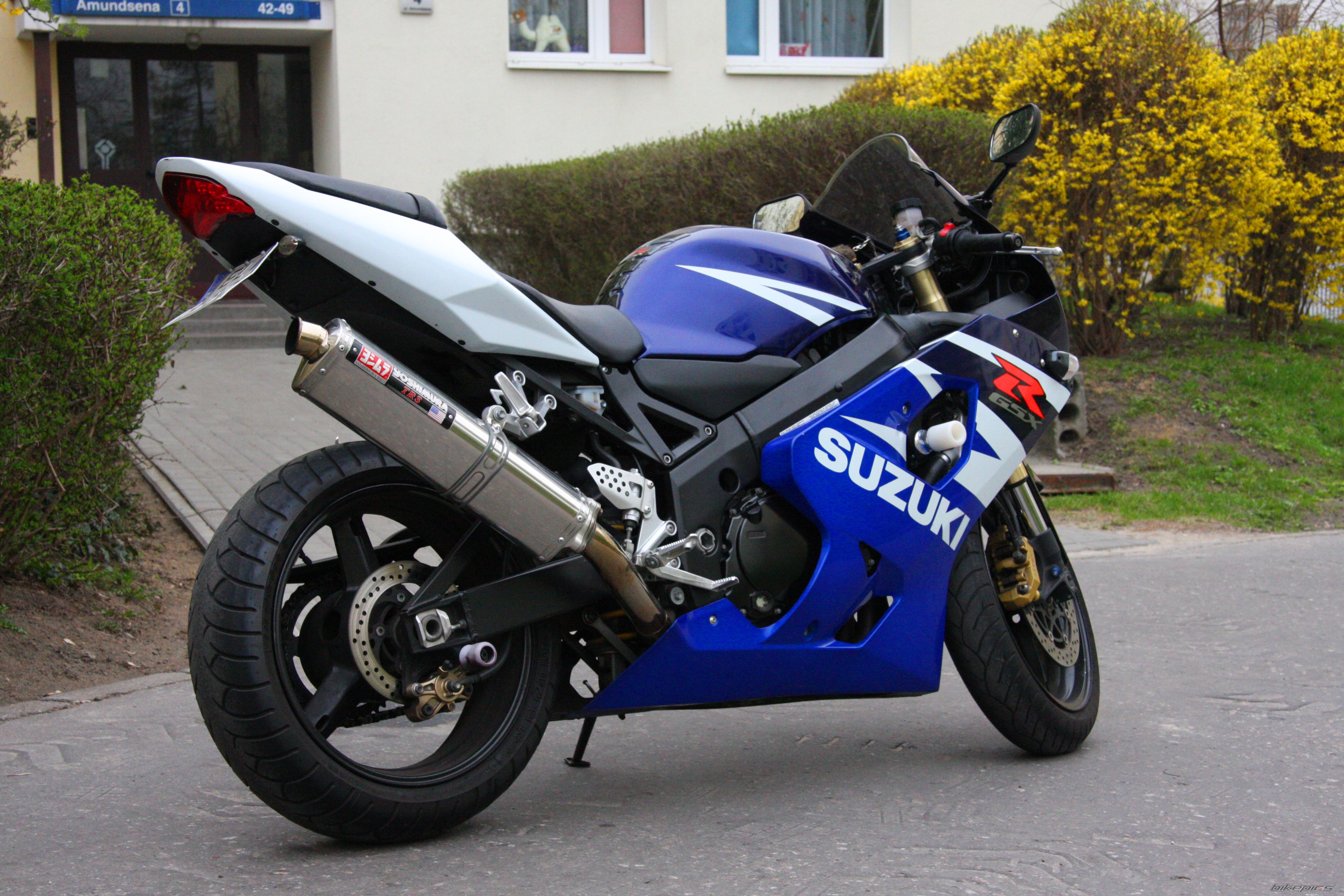 2004 SUZUKI GSX R 600 | Picture 1947505 motorcycle photo