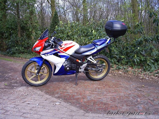2009 HONDA CBR 125 | Picture 1947911 motorcycle photo