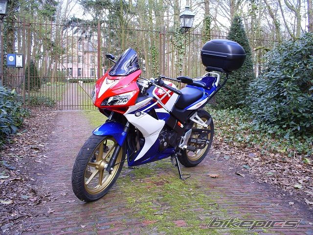 2009 HONDA CBR 125 | Picture 1947915 motorcycle photo