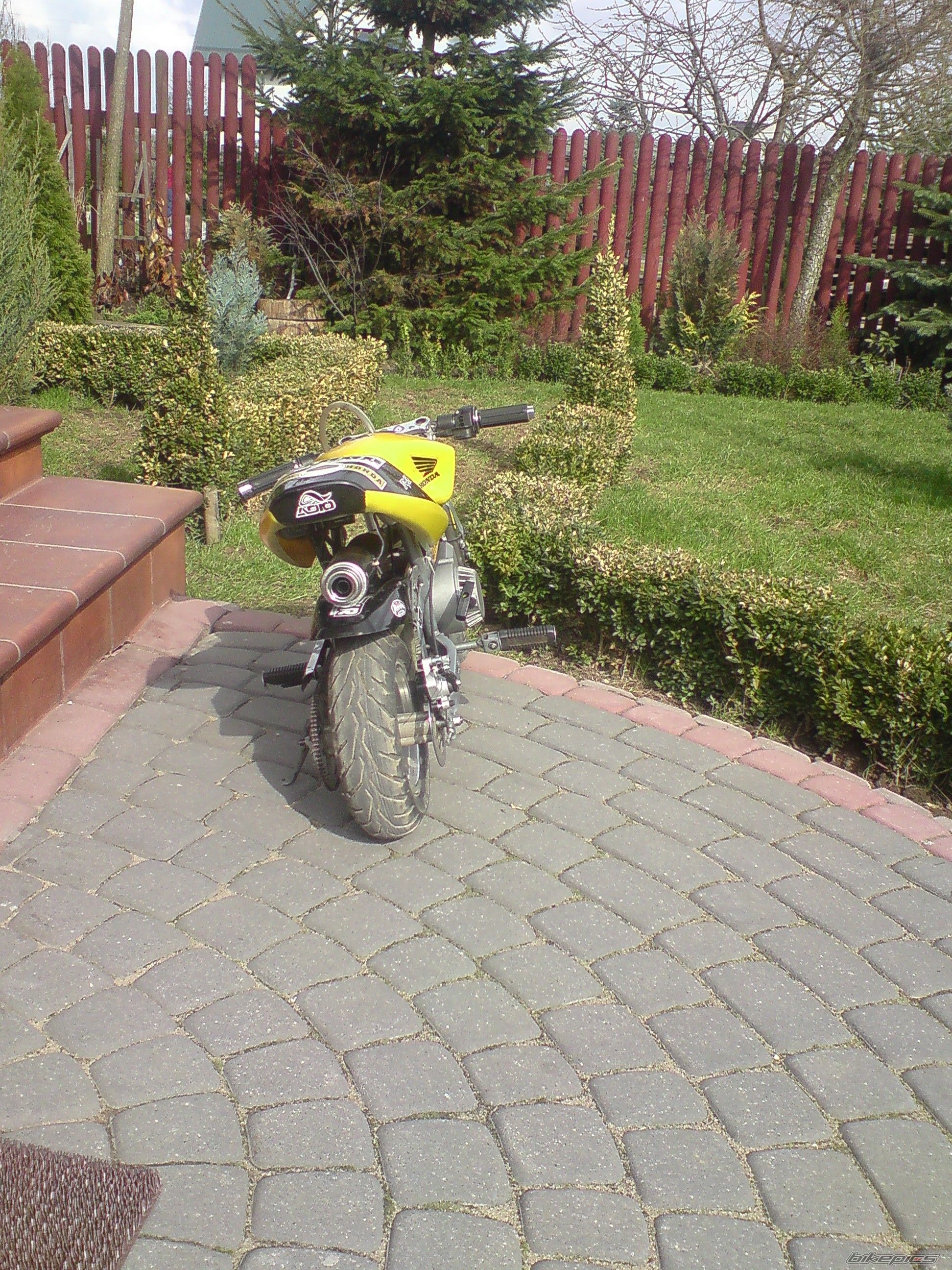 2008 DM MINIBIKE | Picture 1948217 motorcycle photo