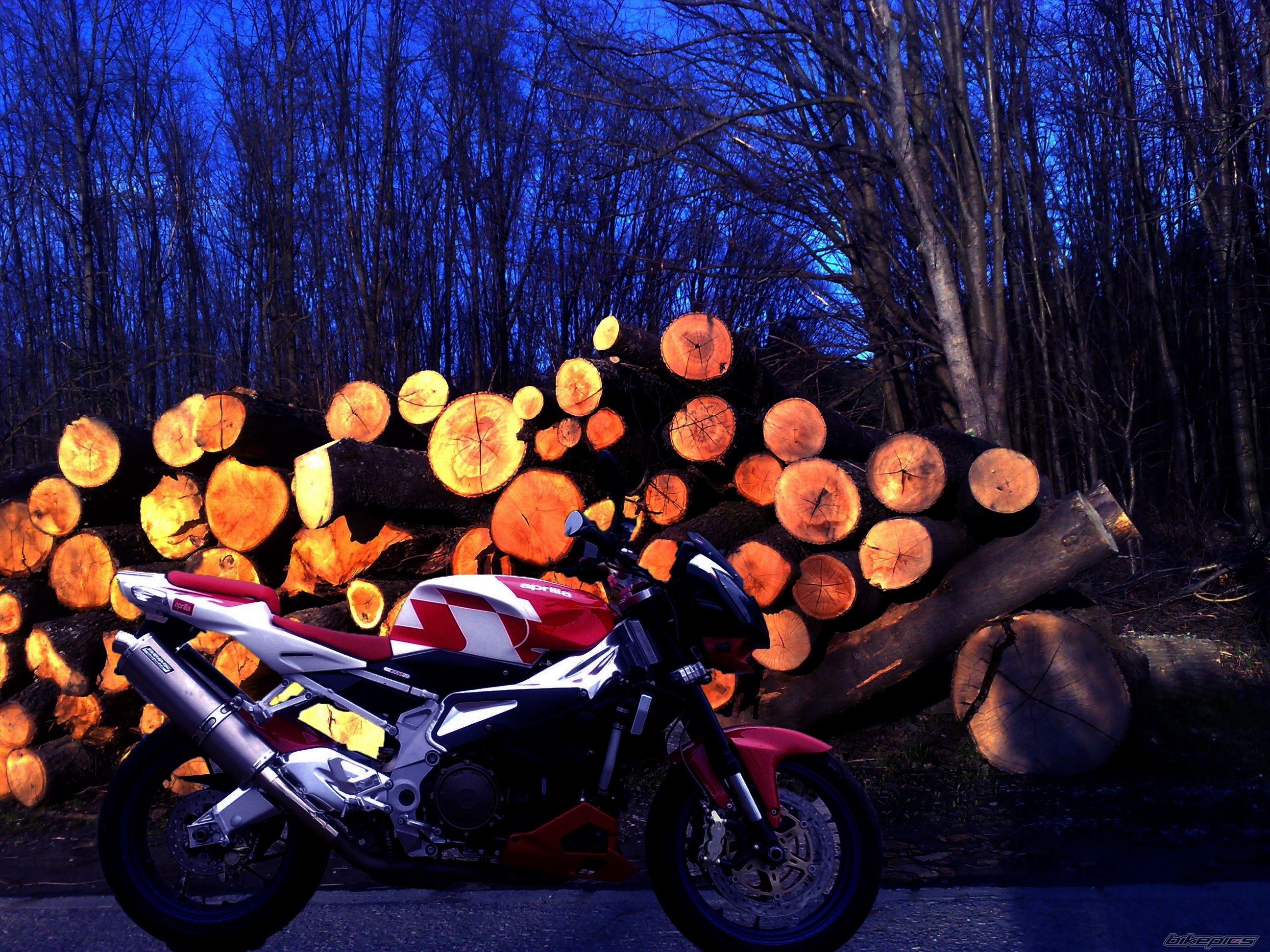 2007 APRILIA RSV MILLE TUONO | Picture 1948464 motorcycle photo