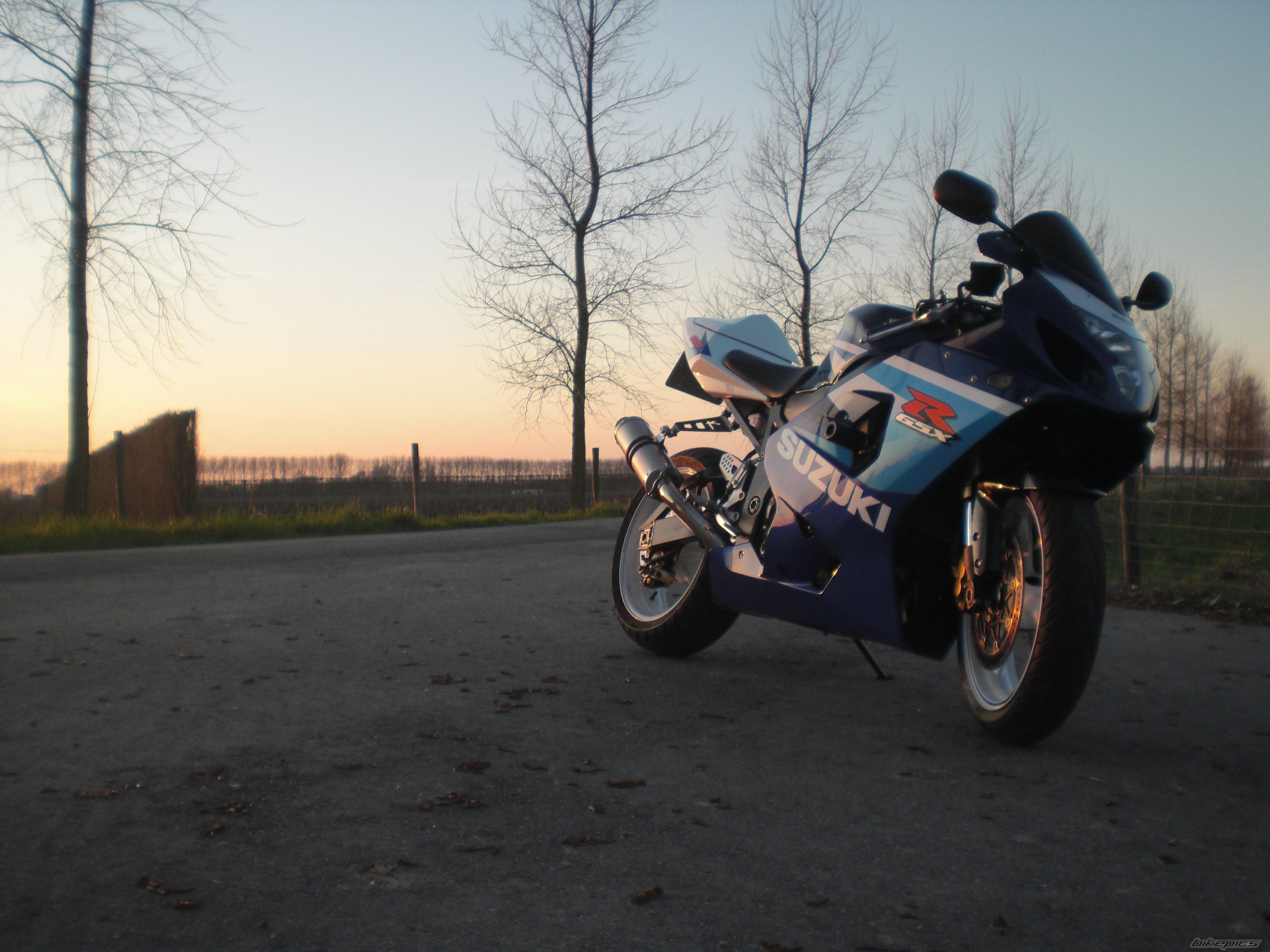 2006 SUZUKI GSX R 600 | Picture 1948535 motorcycle photo