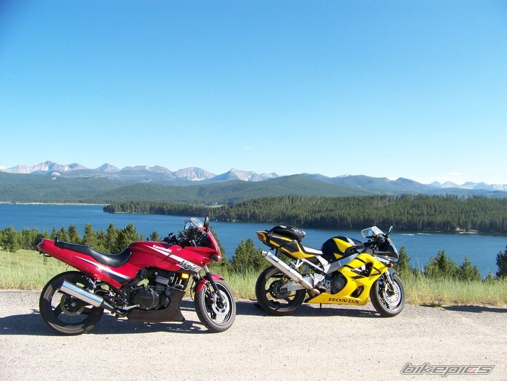 2001 HONDA CBR 900 | Picture 1948908 motorcycle photo