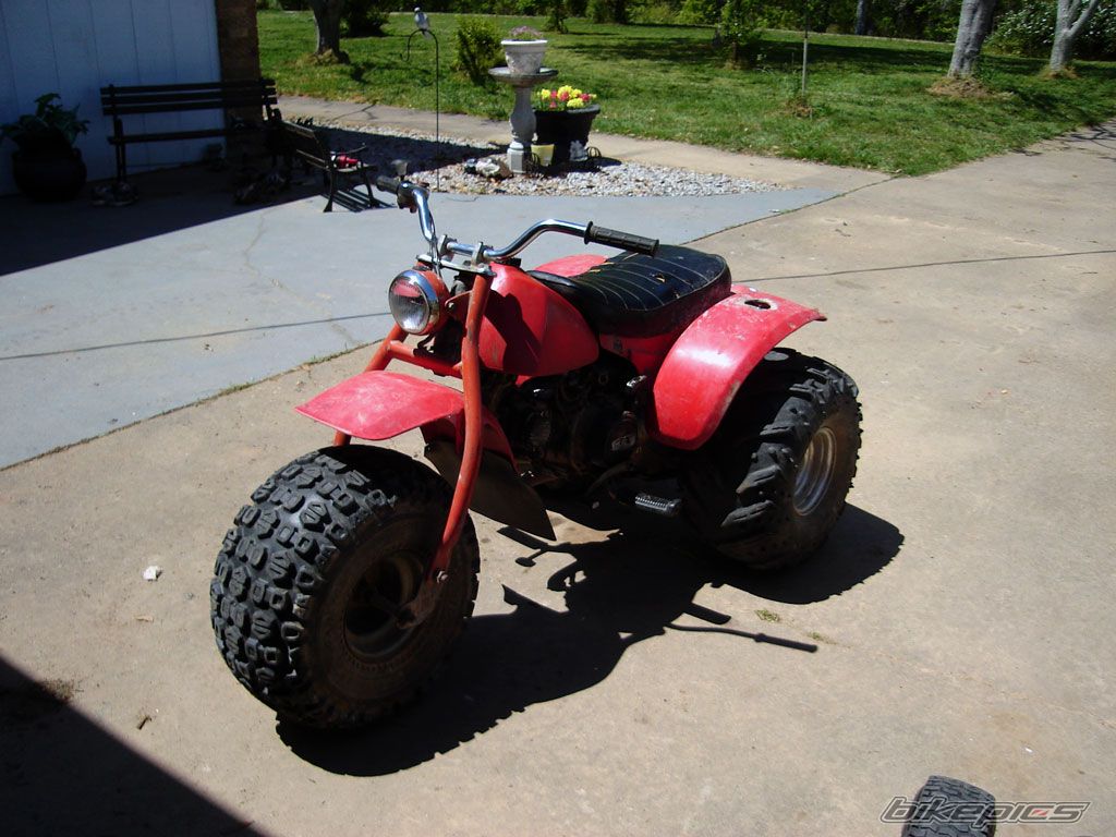 1980 HONDA ATC 110 | Picture 1949075 motorcycle photo