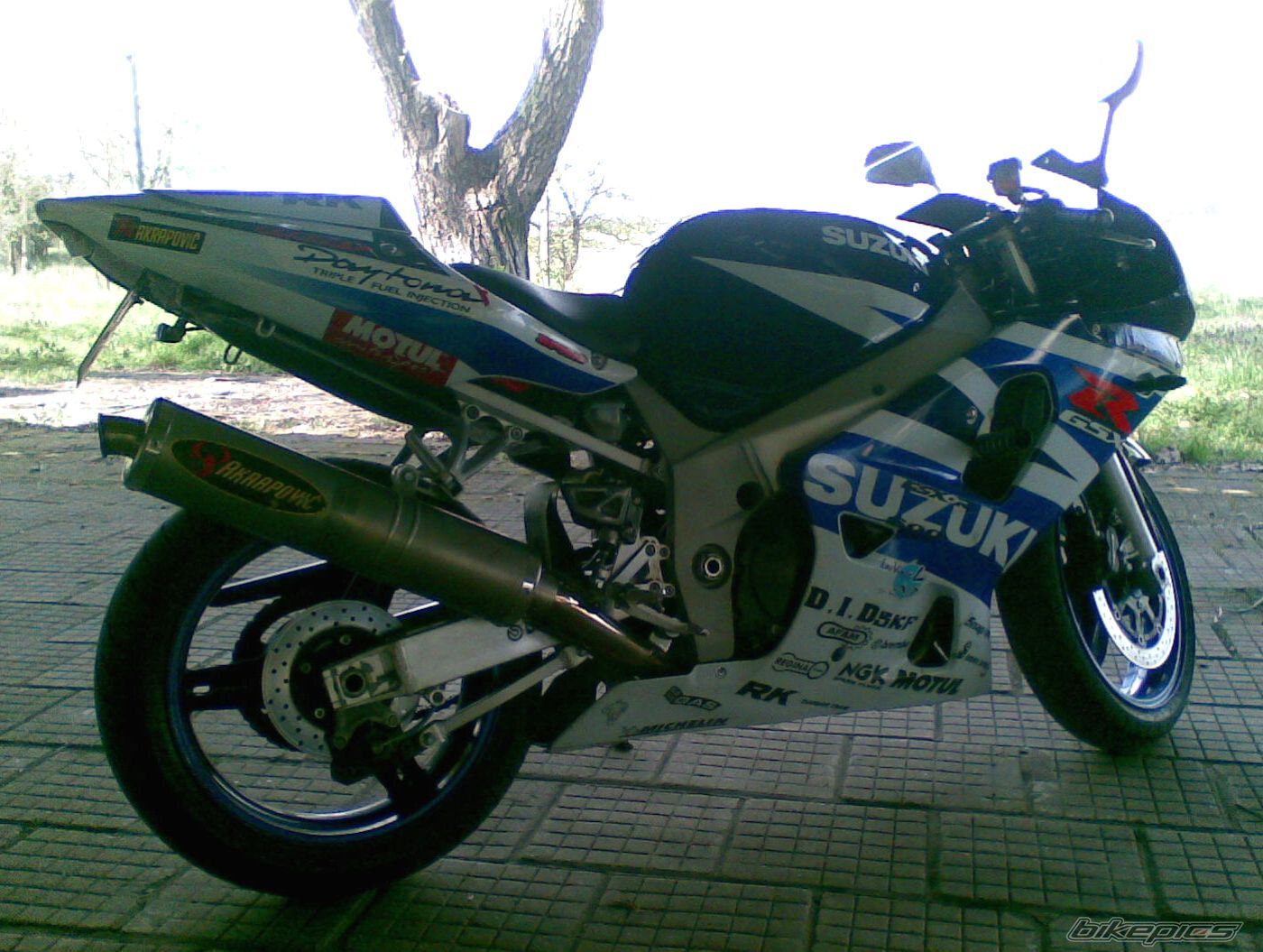 2003 SUZUKI GSX R 600 | Picture 1949201 motorcycle photo