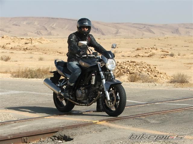 2007 SUZUKI SV 650 | Picture 1949399 motorcycle photo