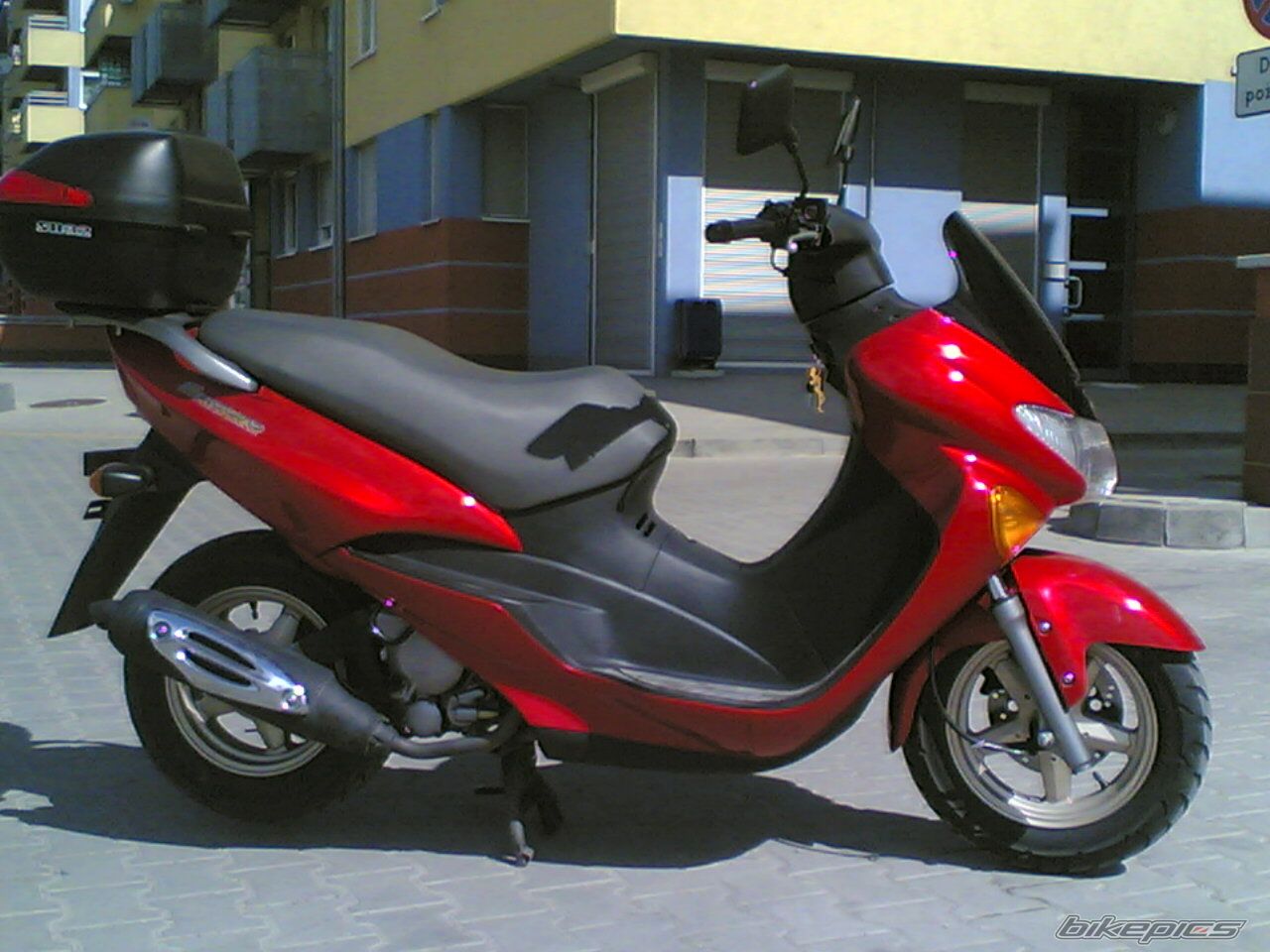 1995 SUZUKI EN 125 | Picture 1949465 motorcycle photo