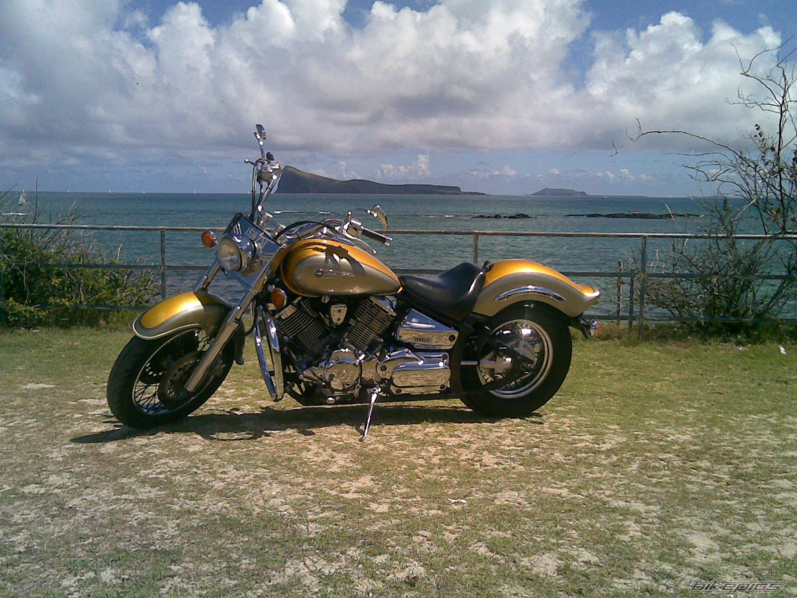 1999 YAMAHA V STAR 1100 | Picture 1949723 motorcycle photo