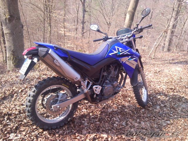 2008 YAMAHA XT 660 | Picture 1949928 motorcycle photo