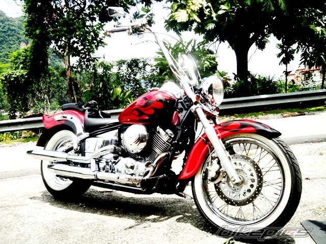 1998 YAMAHA XV DRAGSTAR 650 | Picture 1950194 motorcycle photo