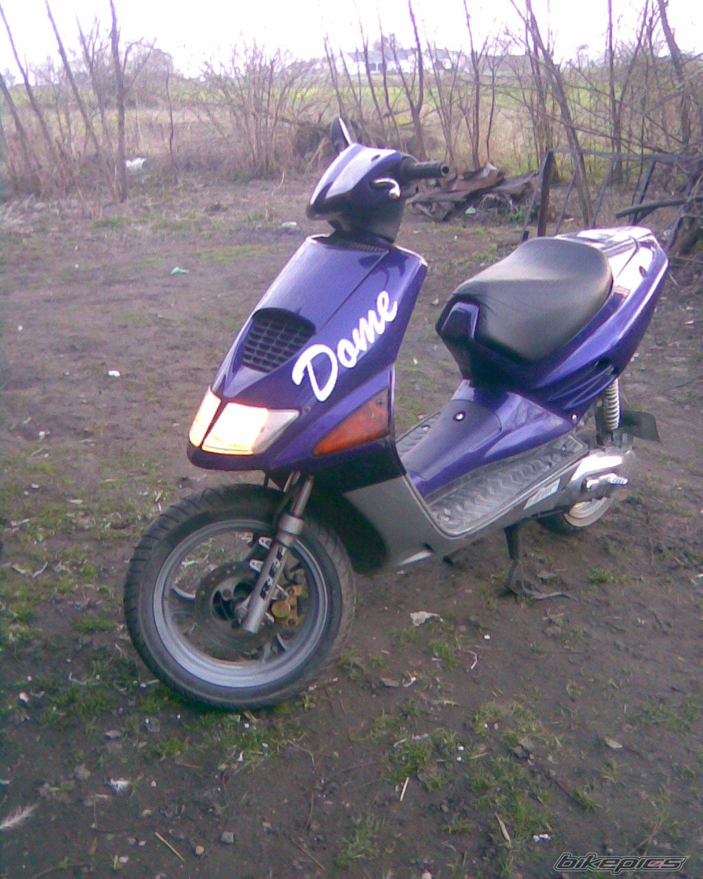 1996 APRILIA SR 50 | Picture 1950400 motorcycle photo