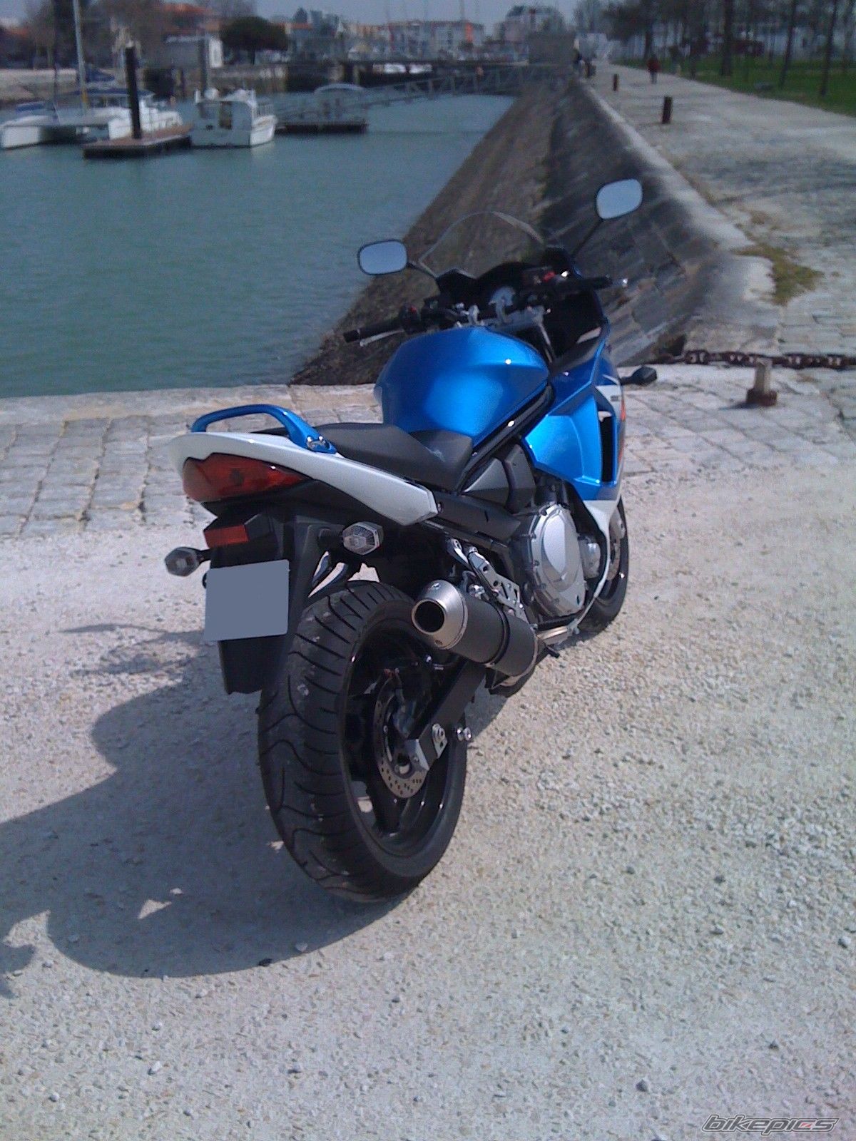 2010 SUZUKI BANDIT 650 | Picture 1950757 motorcycle photo