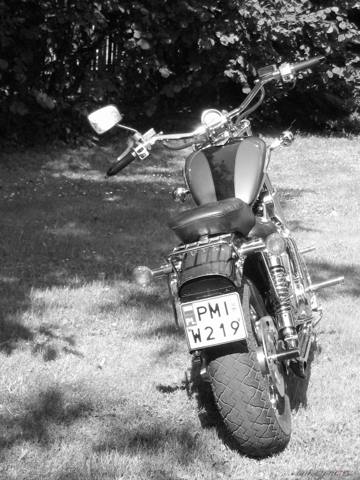 1999 SUZUKI INTRUDER 1400 | Picture 195100 motorcycle photo