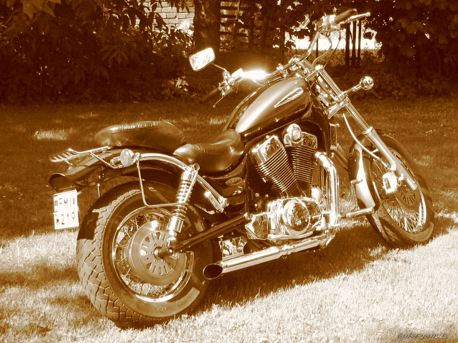 1999 SUZUKI INTRUDER 1400 | Picture 195101 motorcycle photo