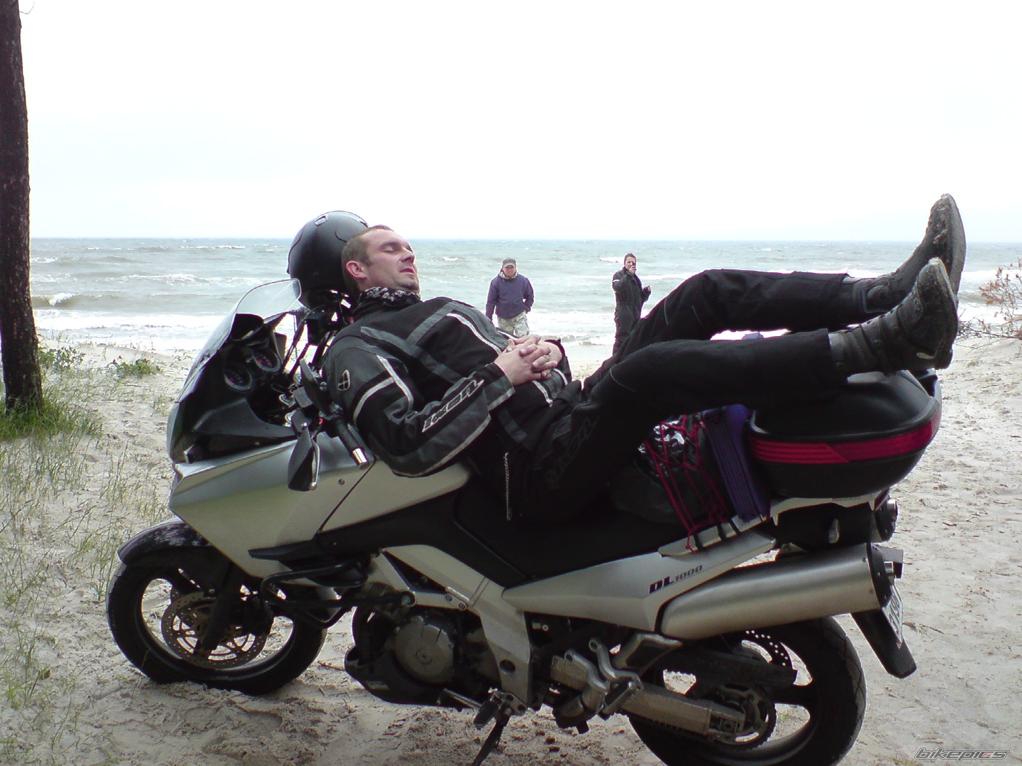 2003 SUZUKI DL 1000 | Picture 1951256 motorcycle photo