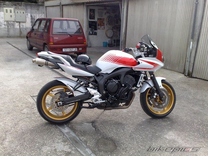 2008 YAMAHA FZS 600 FAZER | Picture 1951324 motorcycle photo
