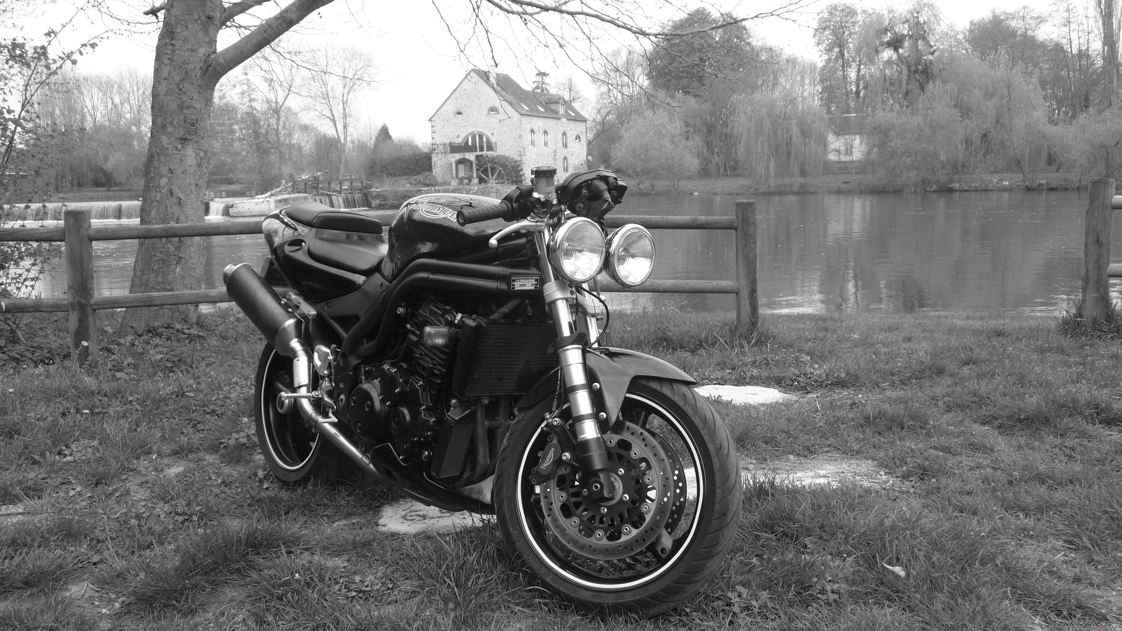 2004 TRIUMPH SPEED TRIPLE | Picture 1951831 motorcycle photo
