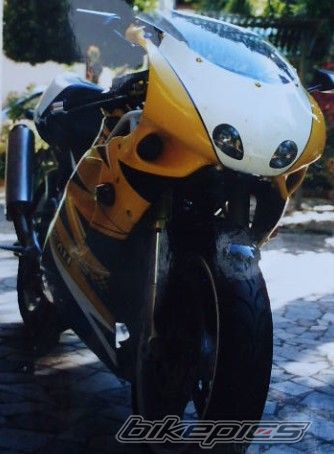 2010 DUCATI UNKNOWEN | Picture 1951957 motorcycle photo