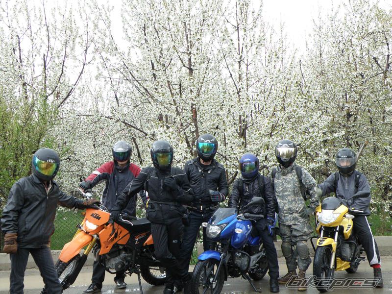 2010 KTM 200 MXC | Picture 1952299 motorcycle photo