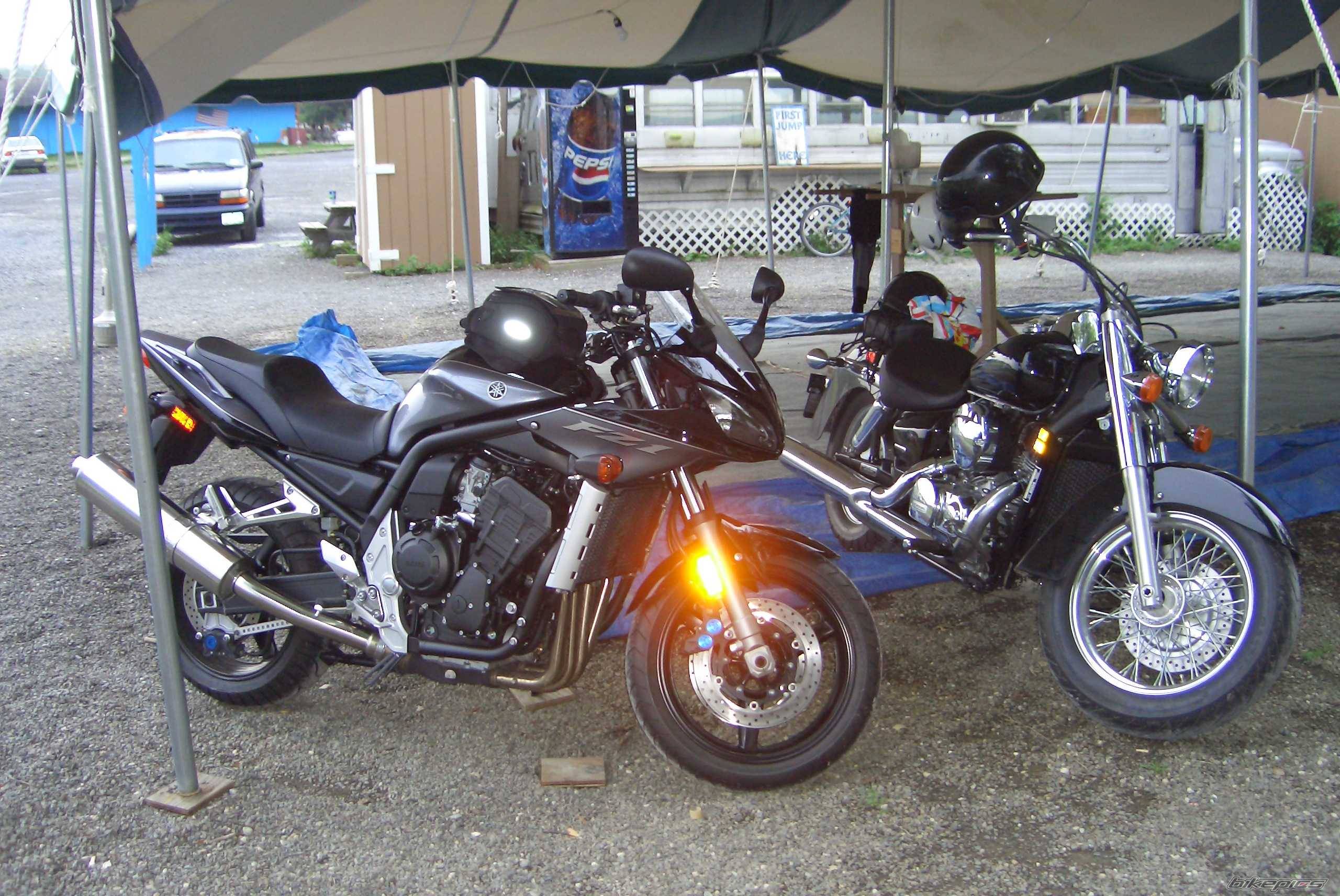 2004 YAMAHA FZ 1 | Picture 195230 motorcycle photo