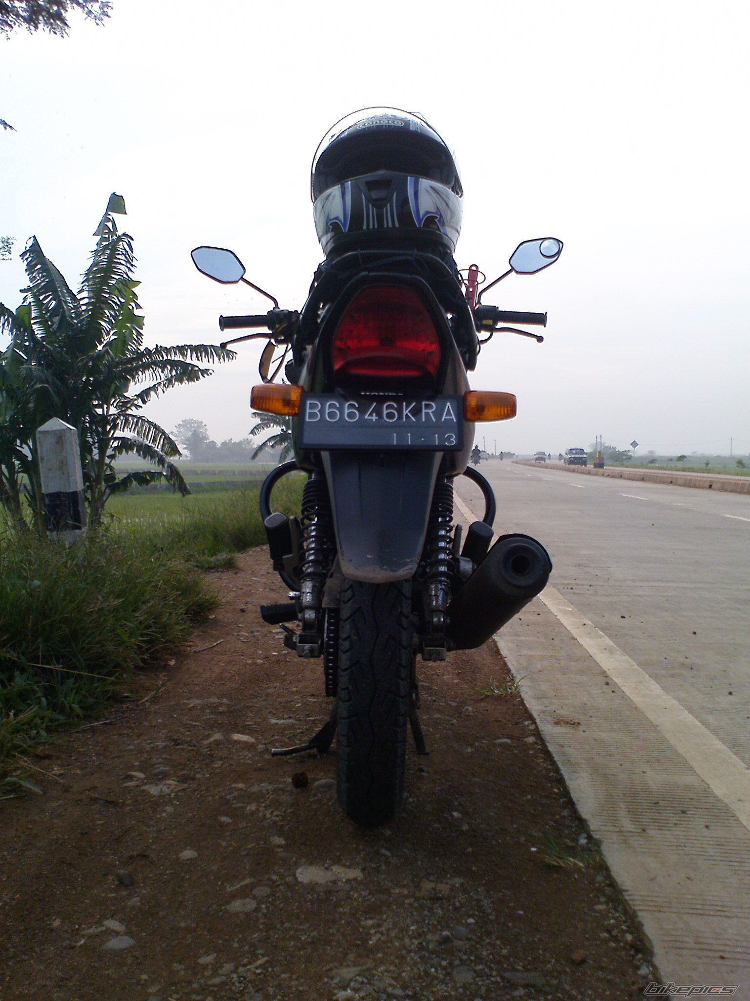 2008 HONDA MEGA PRO | Picture 1952416 motorcycle photo