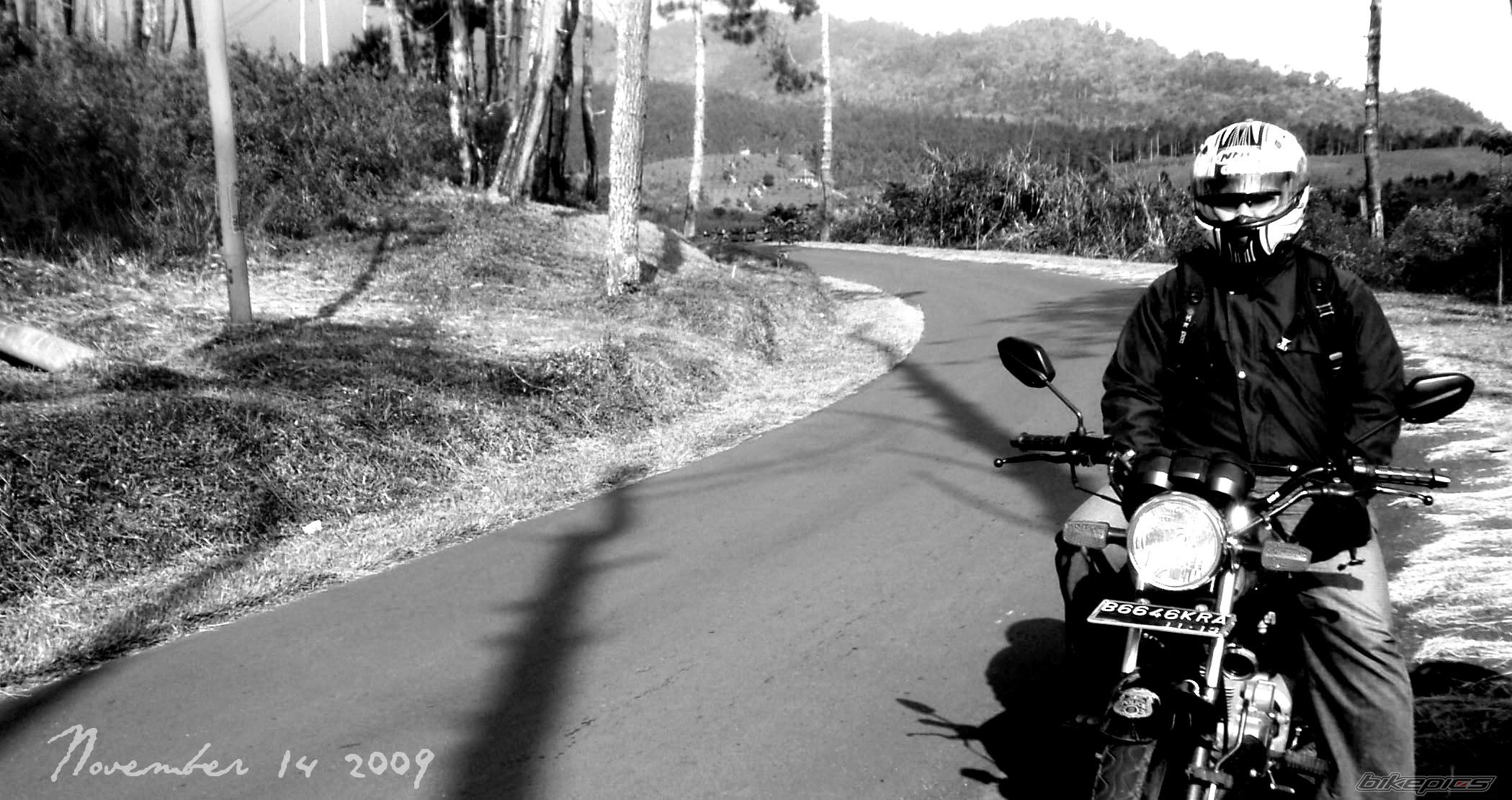 2008 HONDA MEGA PRO | Picture 1952424 motorcycle photo