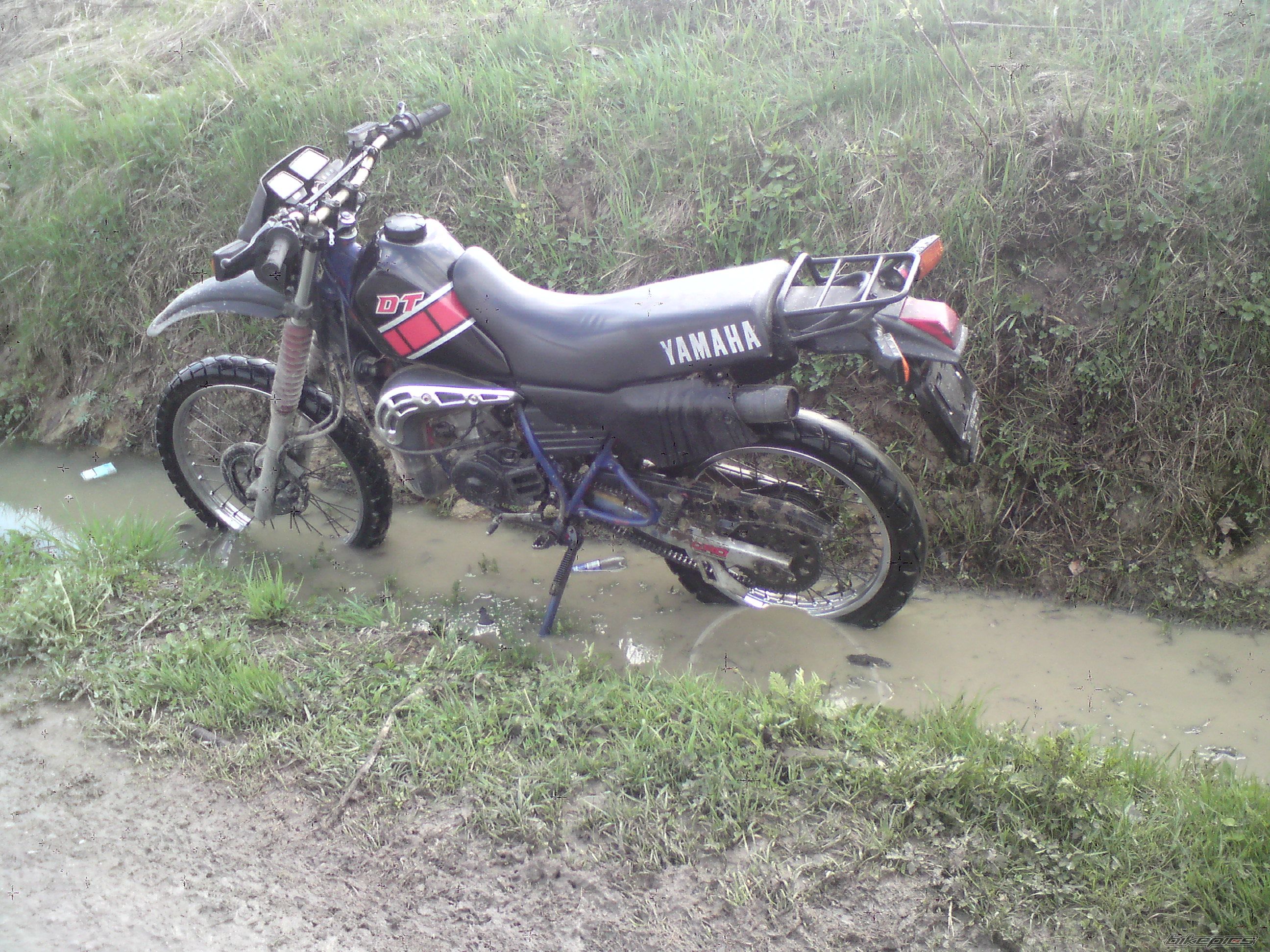    | Picture 1952799 motorcycle photo