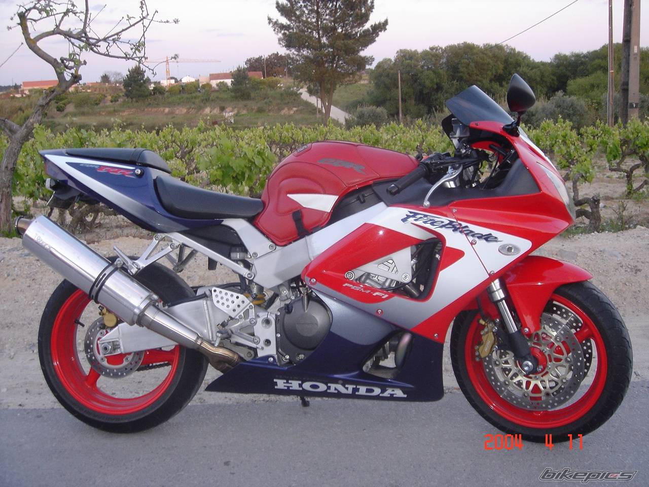 2001 HONDA CBR 900 | Picture 195291 motorcycle photo