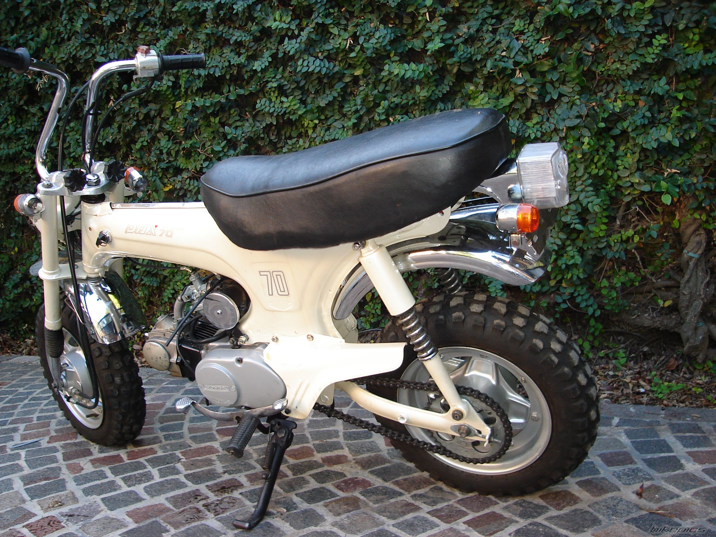 1980 HONDA DAX ST70 | Picture 1953011 motorcycle photo
