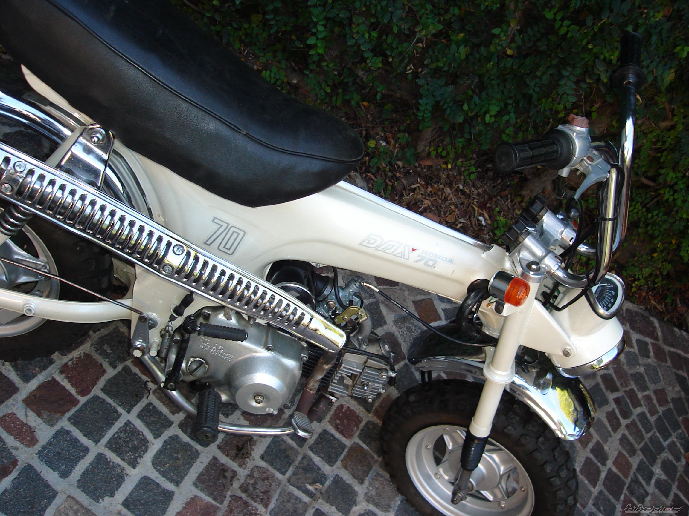 1980 HONDA DAX ST70 | Picture 1953013 motorcycle photo
