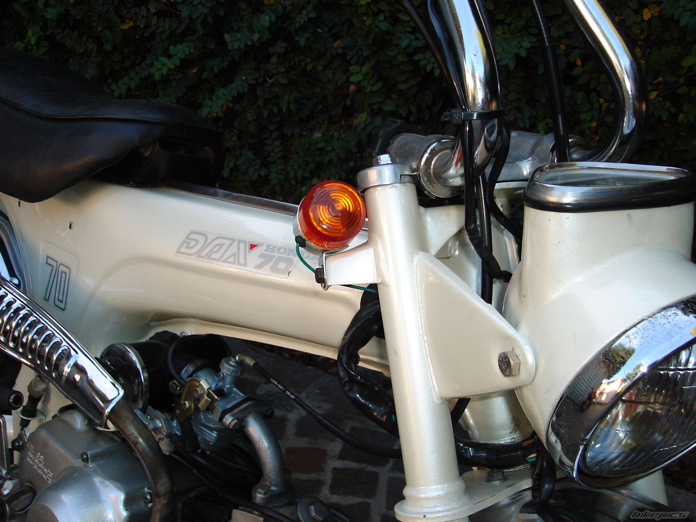 1980 HONDA DAX ST70 | Picture 1953017 motorcycle photo