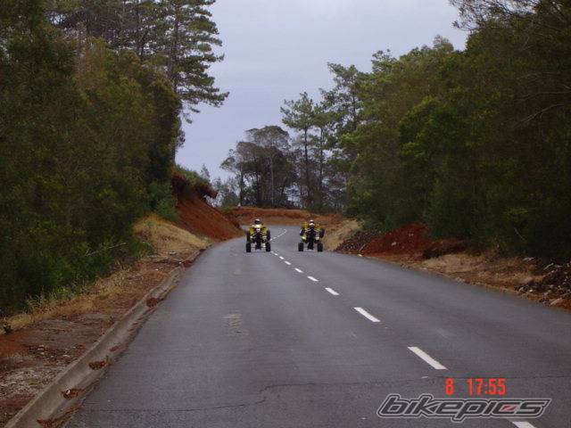 2004 SUZUKI LTZ 400 | Picture 195321 motorcycle photo