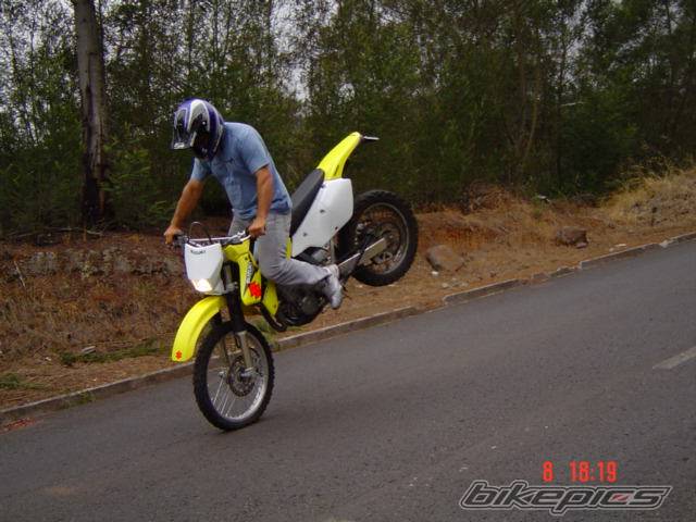 2004 SUZUKI LTZ 400 | Picture 195324 motorcycle photo