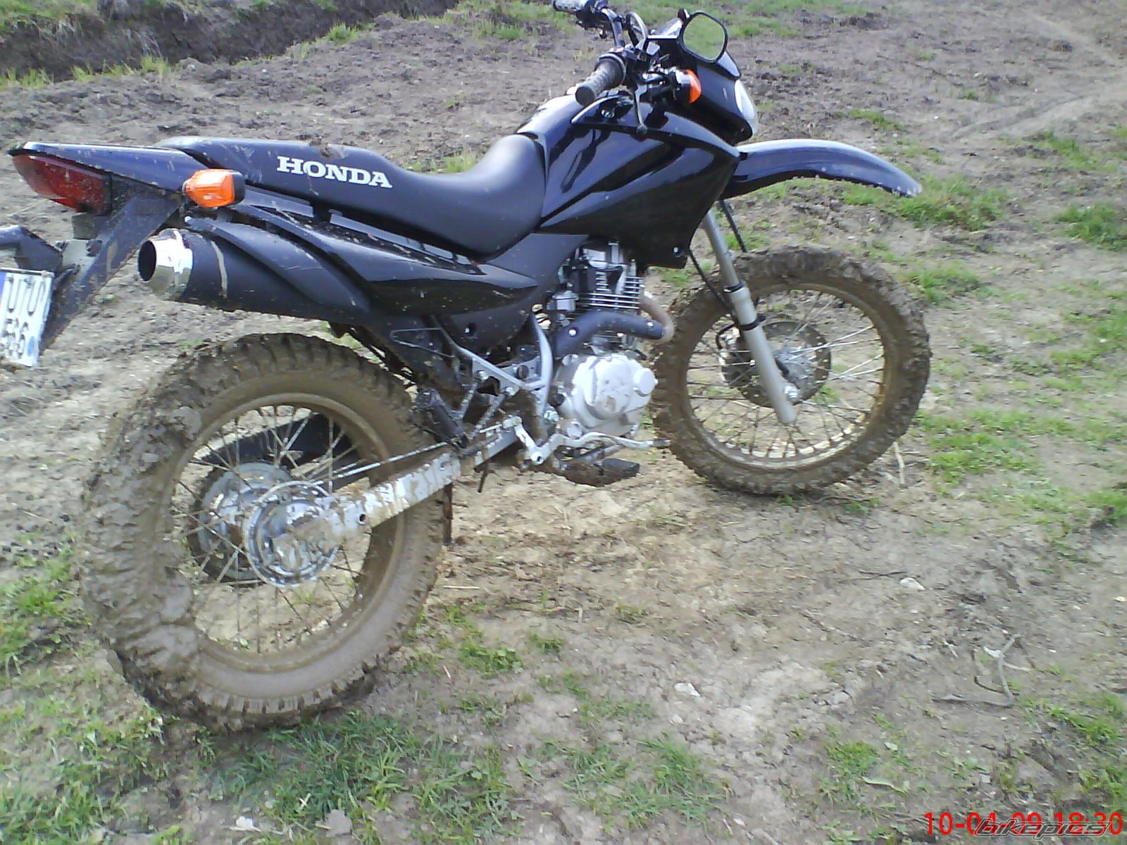 2007 HONDA XR 125 | Picture 1953890 motorcycle photo