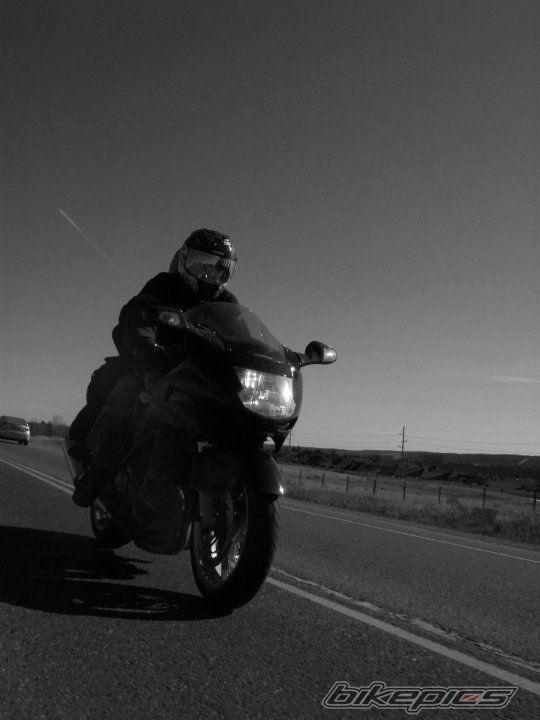 1997 HONDA CBR 1100 BLACKBIRD | Picture 1953943 motorcycle photo