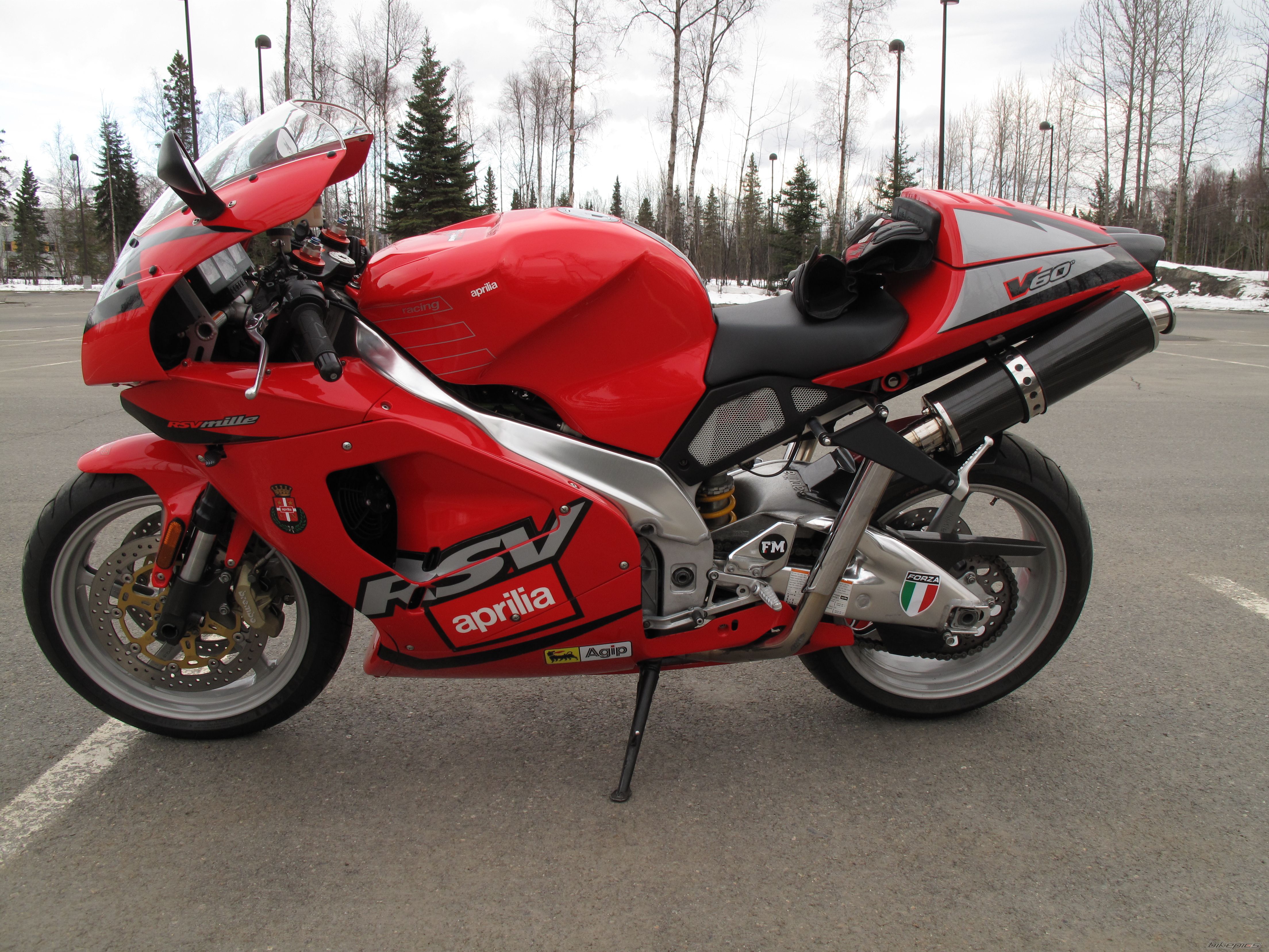 2001 APRILIA RSV 1000 MILLE | Picture 1954031 motorcycle photo