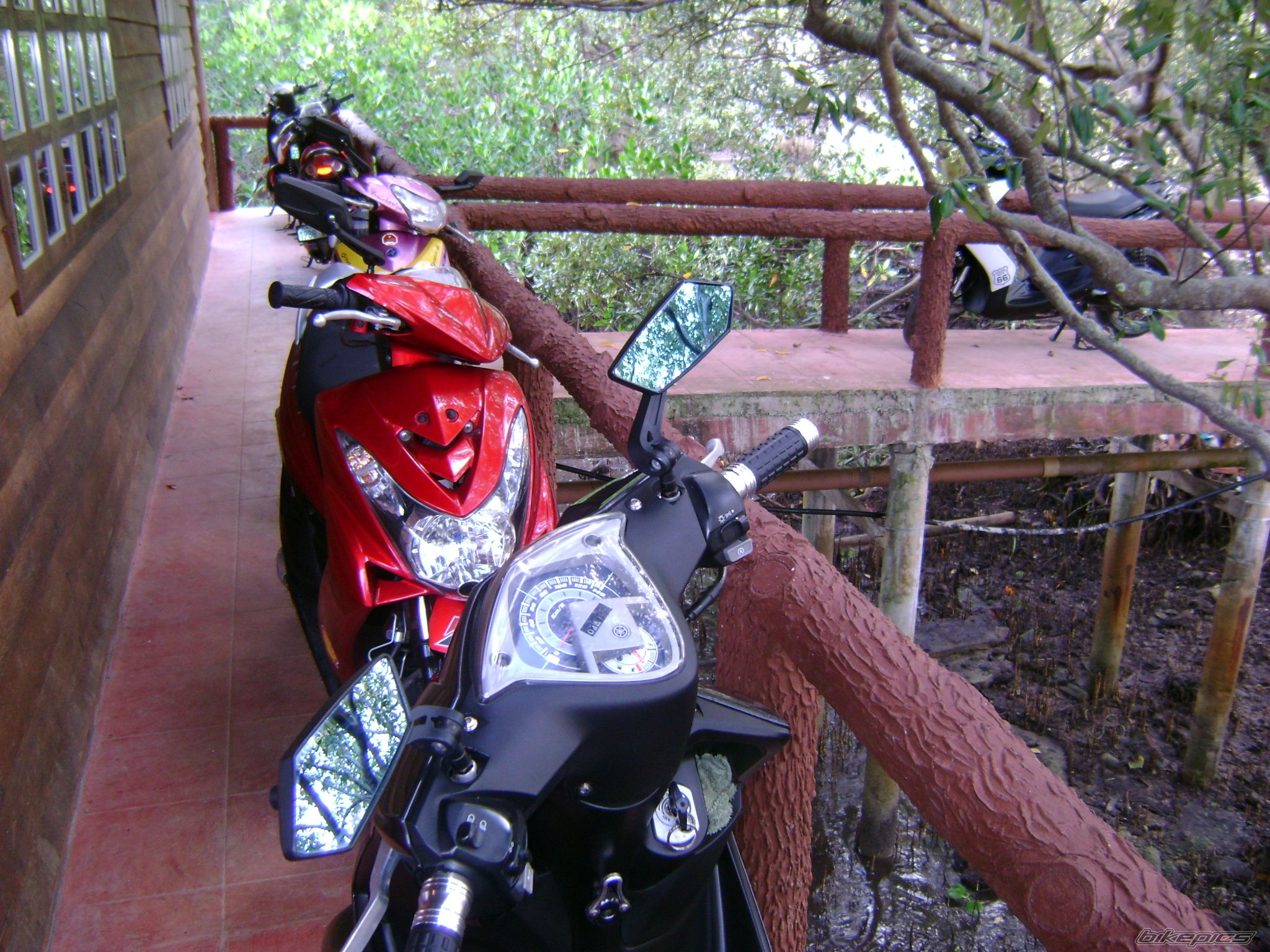 2010 YAMAHA MIO | Picture 1954114 motorcycle photo