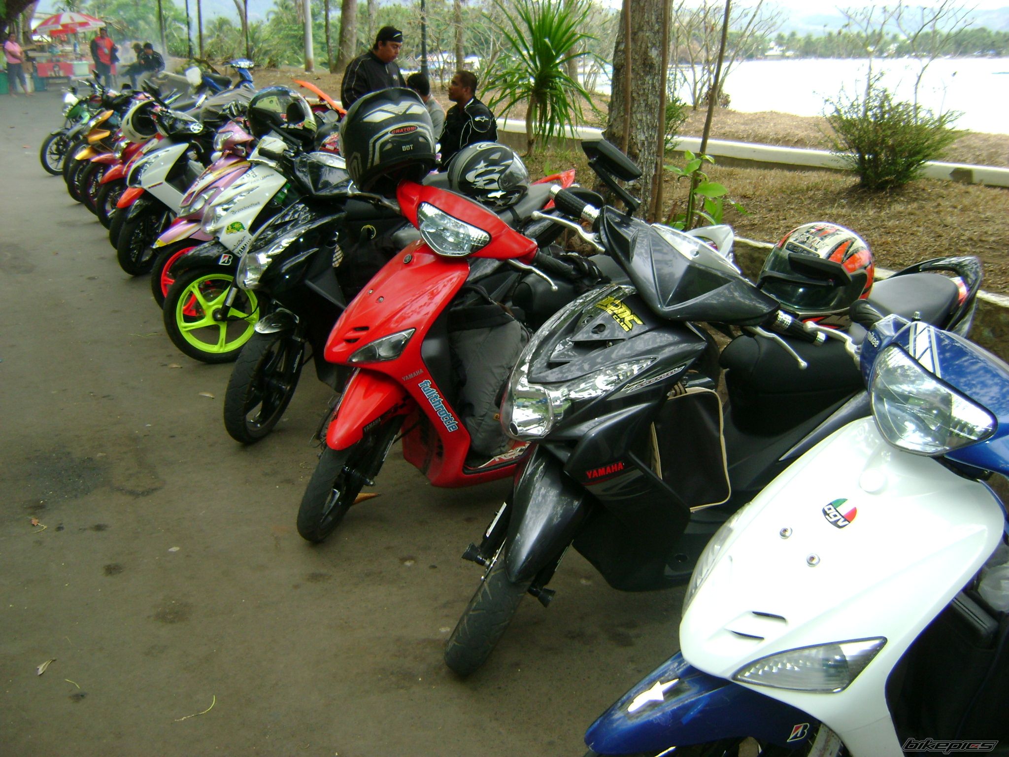 2010 YAMAHA MIO | Picture 1954362 motorcycle photo