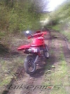 1991 GILERA RC 125 | Picture 1954469 motorcycle photo