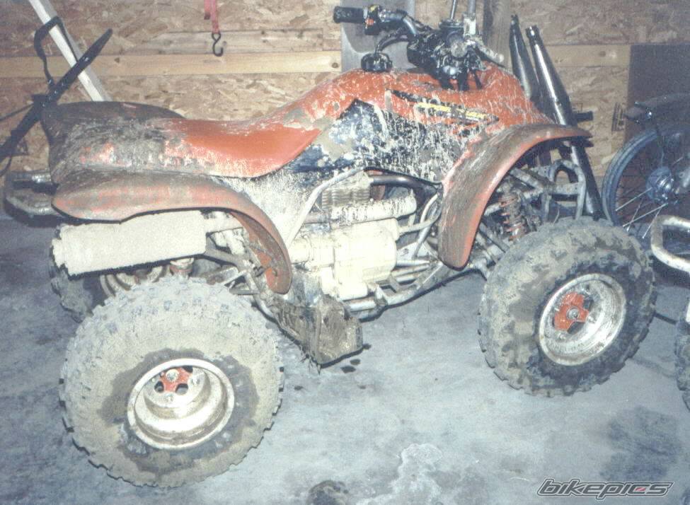 2002 HONDA 250EX | Picture 19546 motorcycle photo
