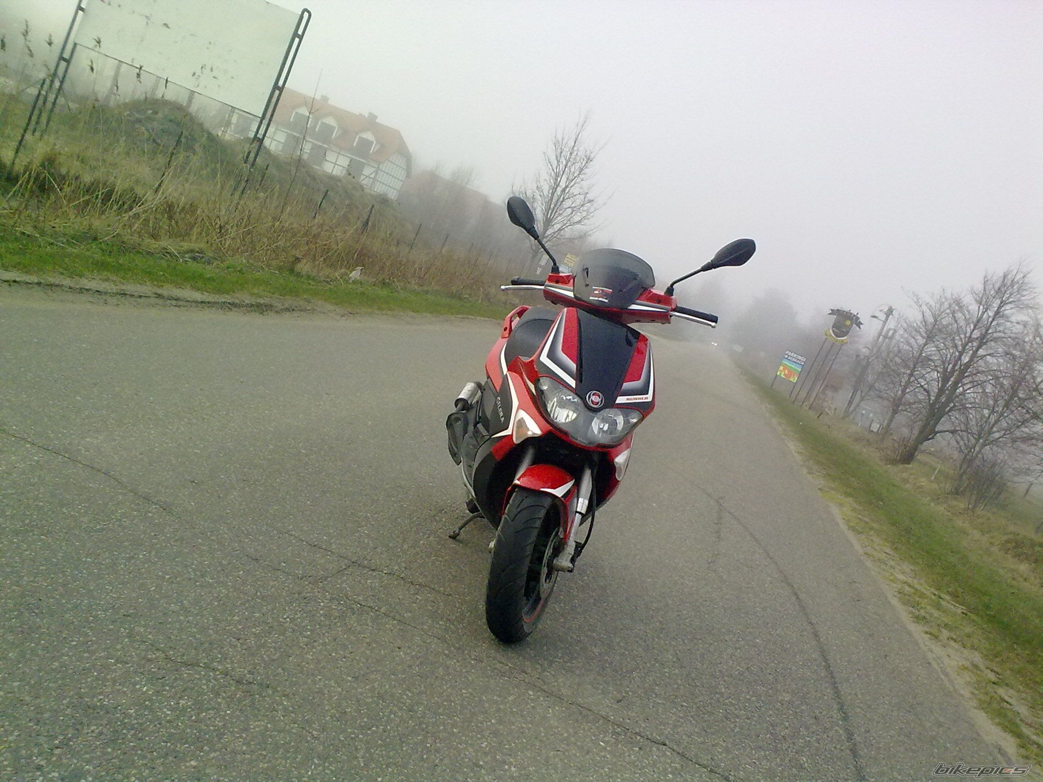 2008 GILERA RUNNER 50 | Picture 1956423 motorcycle photo