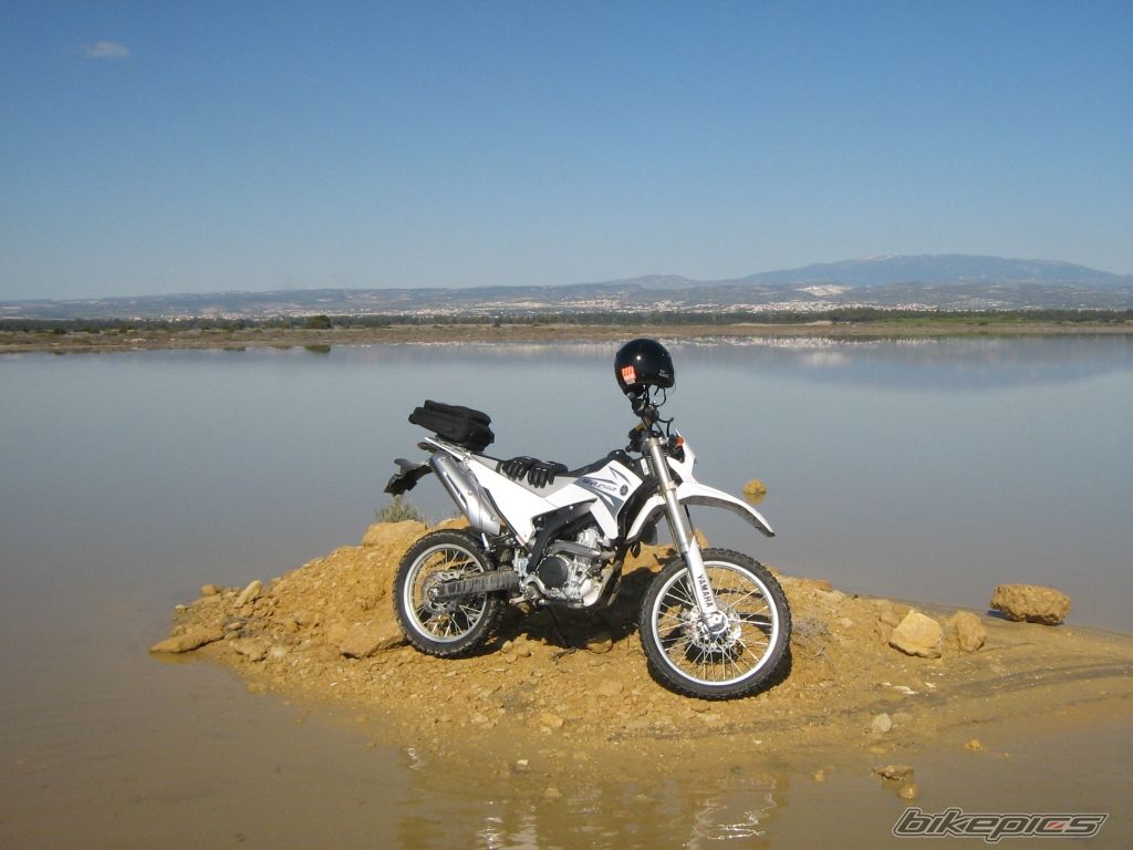 2008 YAMAHA WR 250 | Picture 1956442 motorcycle photo