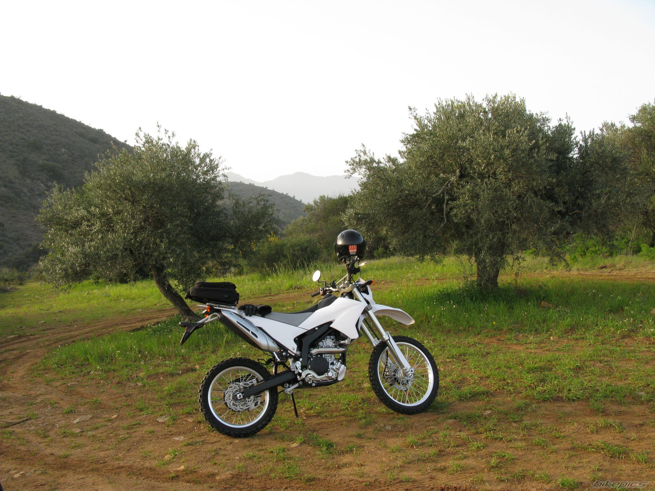 2008 YAMAHA WR 250 | Picture 1956446 motorcycle photo