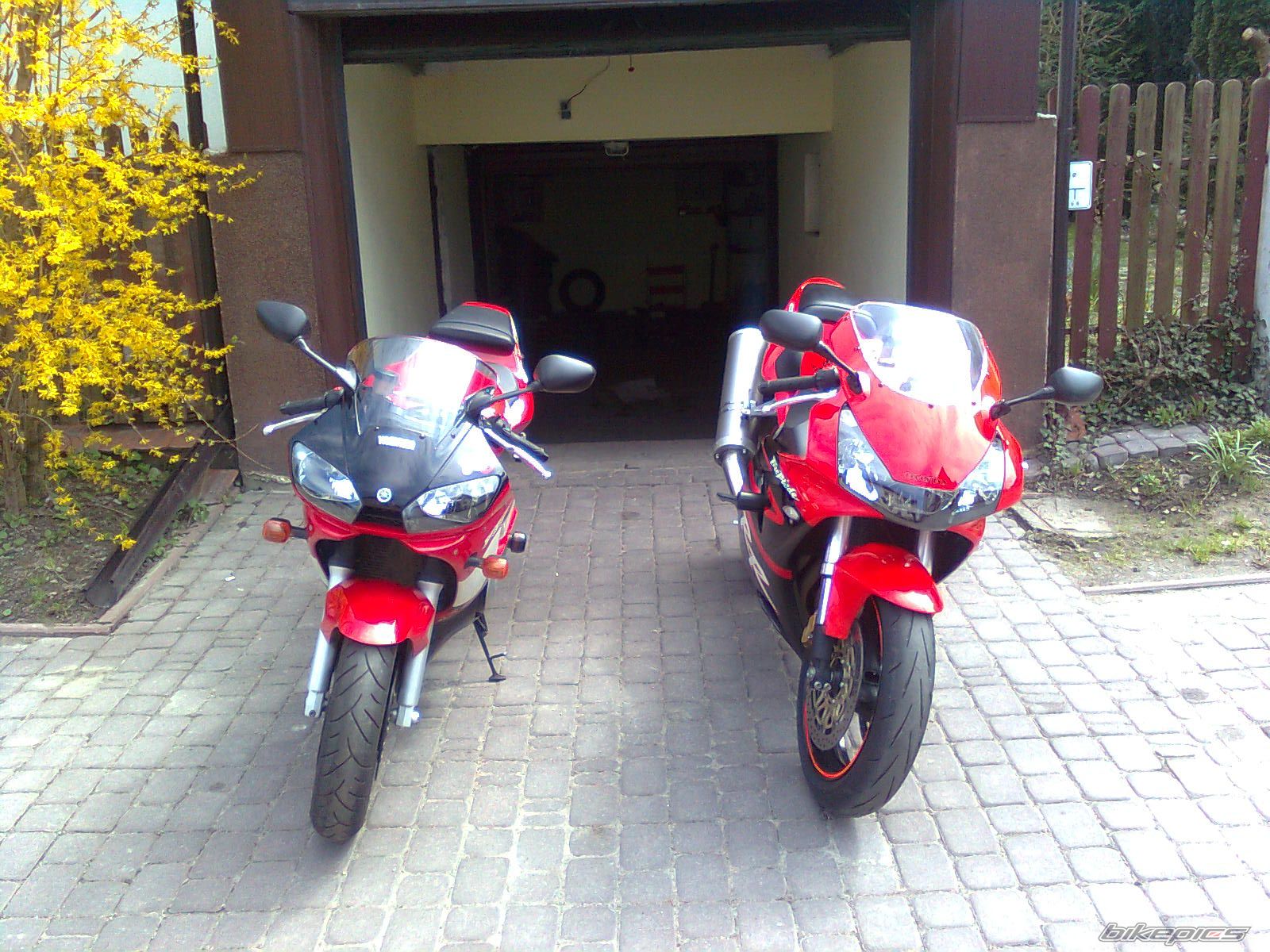 2002 HONDA CBR 900 | Picture 1956673 motorcycle photo