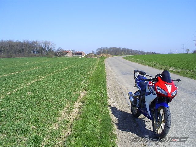 2009 HONDA CBR 125 | Picture 1957445 motorcycle photo