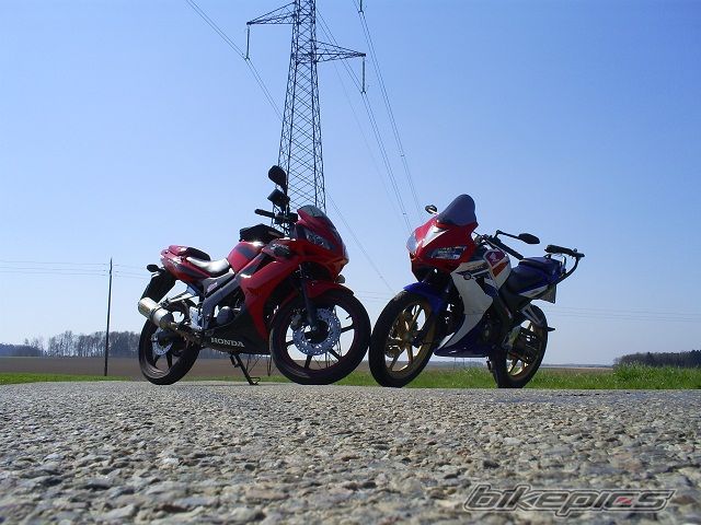 2009 HONDA CBR 125 | Picture 1957447 motorcycle photo