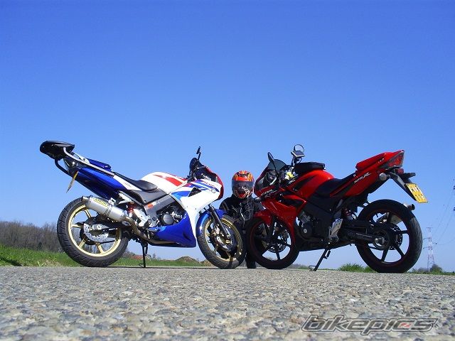 2009 HONDA CBR 125 | Picture 1957448 motorcycle photo