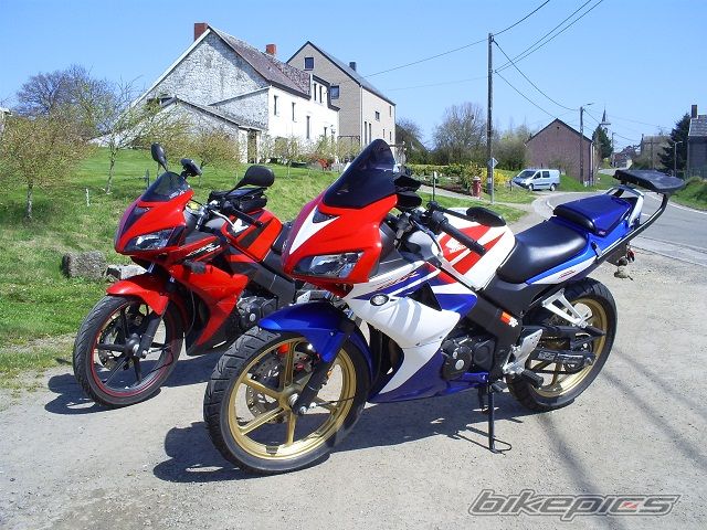 2009 HONDA CBR 125 | Picture 1957450 motorcycle photo