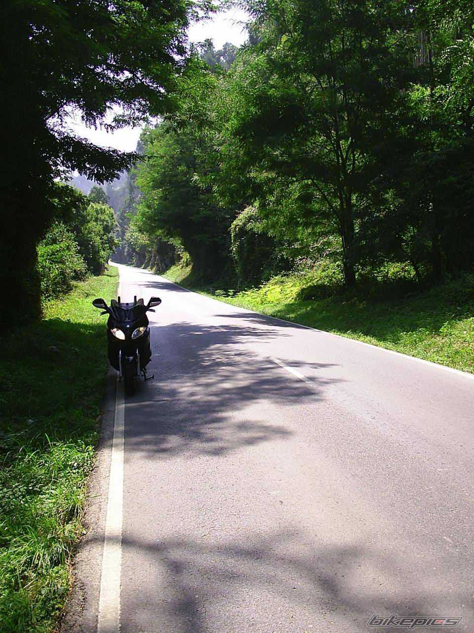 2004 PIAGGIO X9 250 | Picture 195801 motorcycle photo