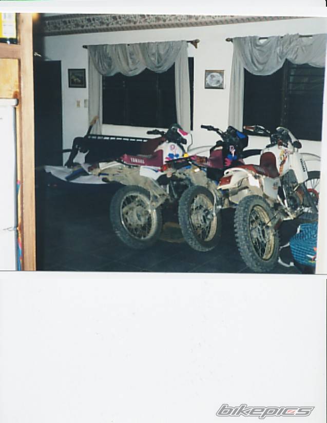 1993 YAMAHA DT 175 | Picture 19583 motorcycle photo